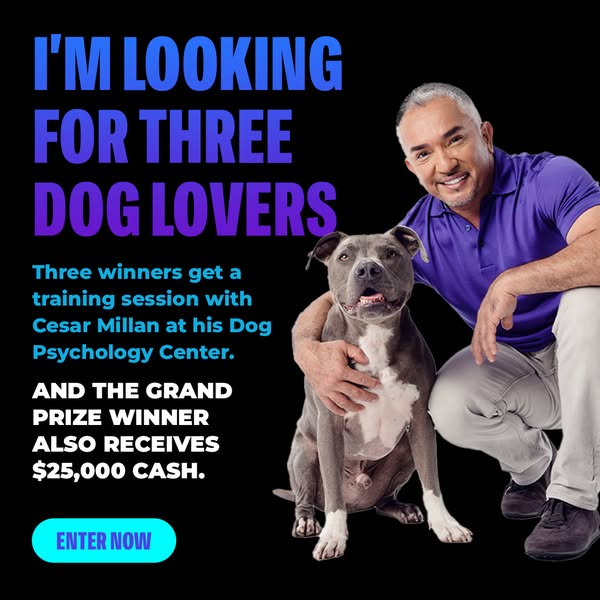 Win $25,000 and a Private Training Session with Me