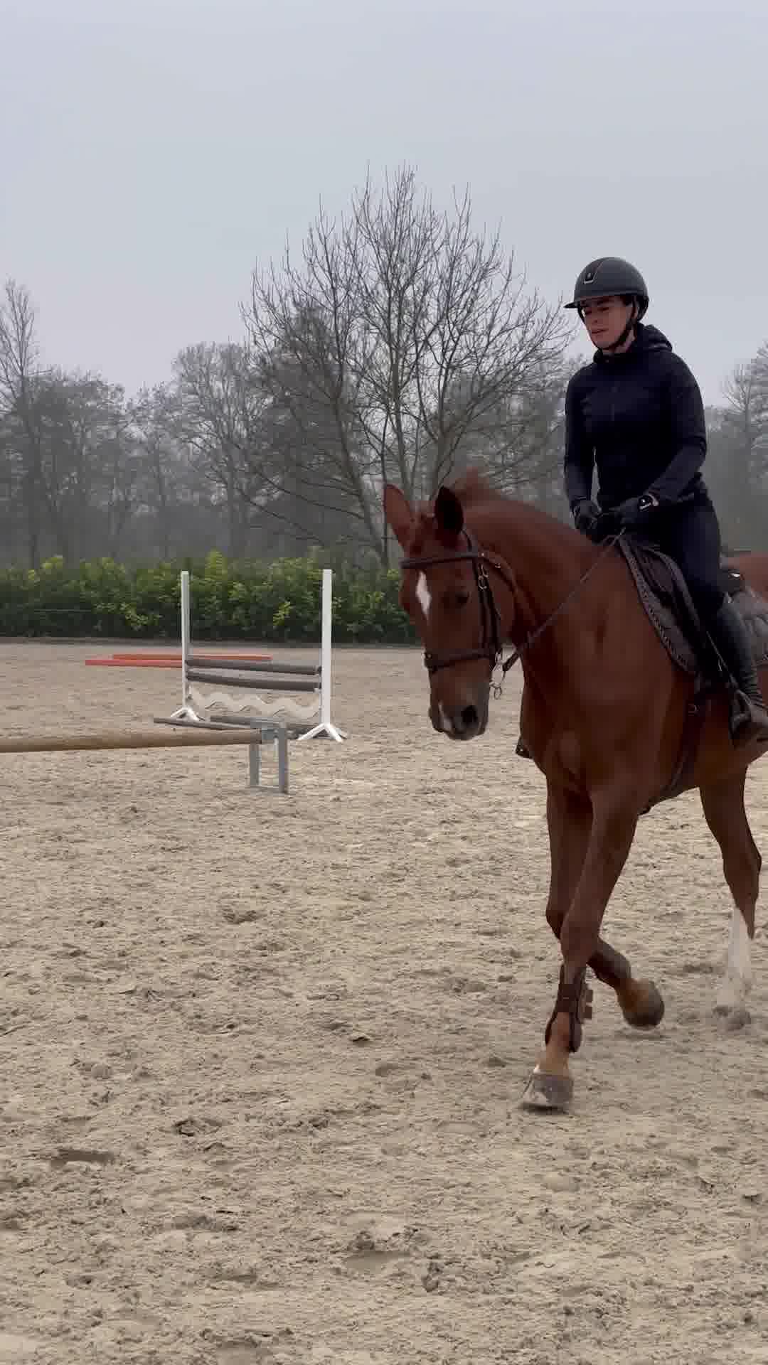 A calmer horse, a better ride