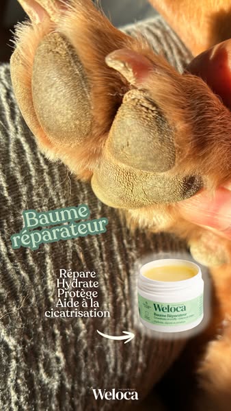 Livraison gratuite