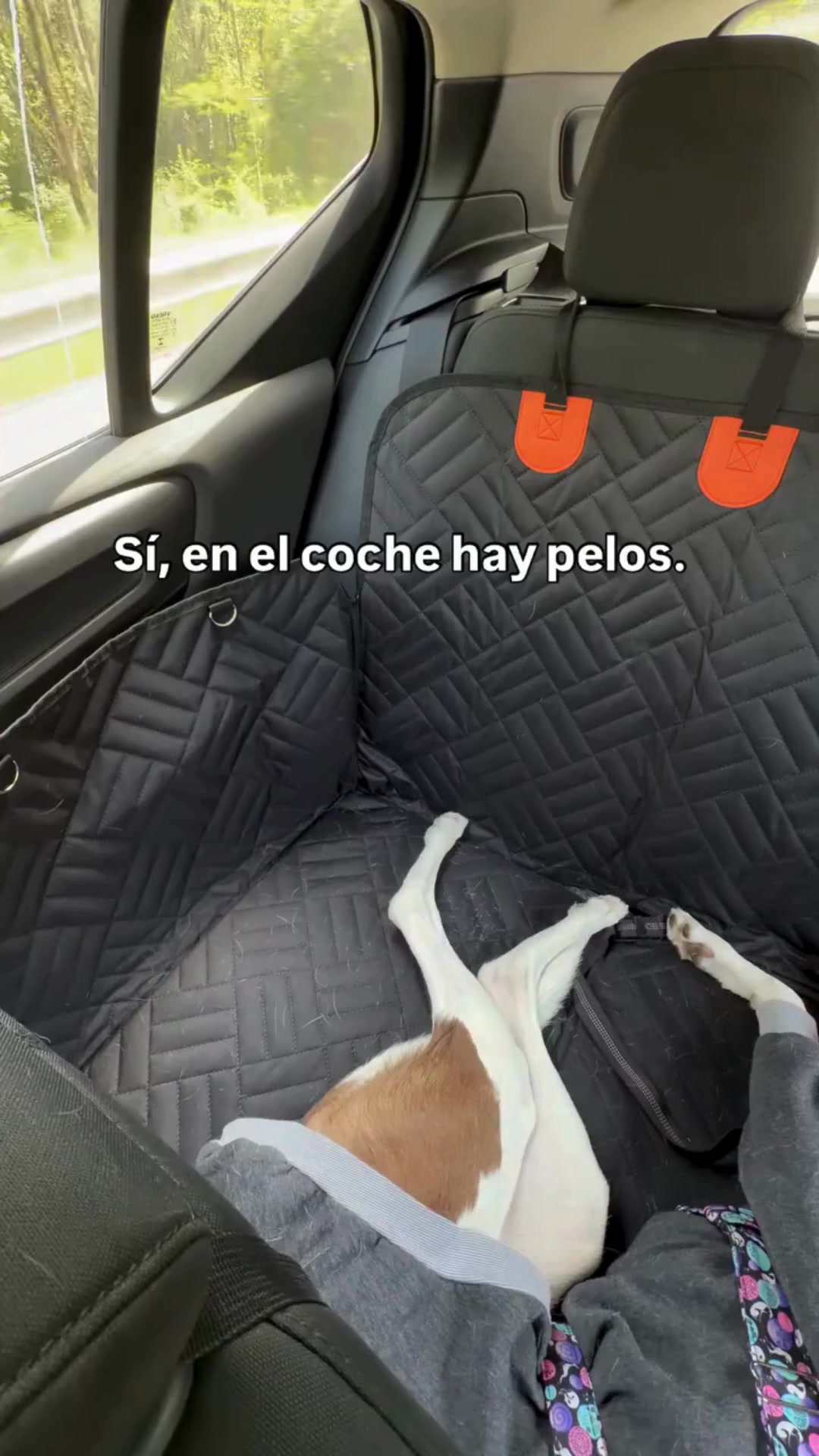 Envío rápido 24-48h | Pago contrareembolso