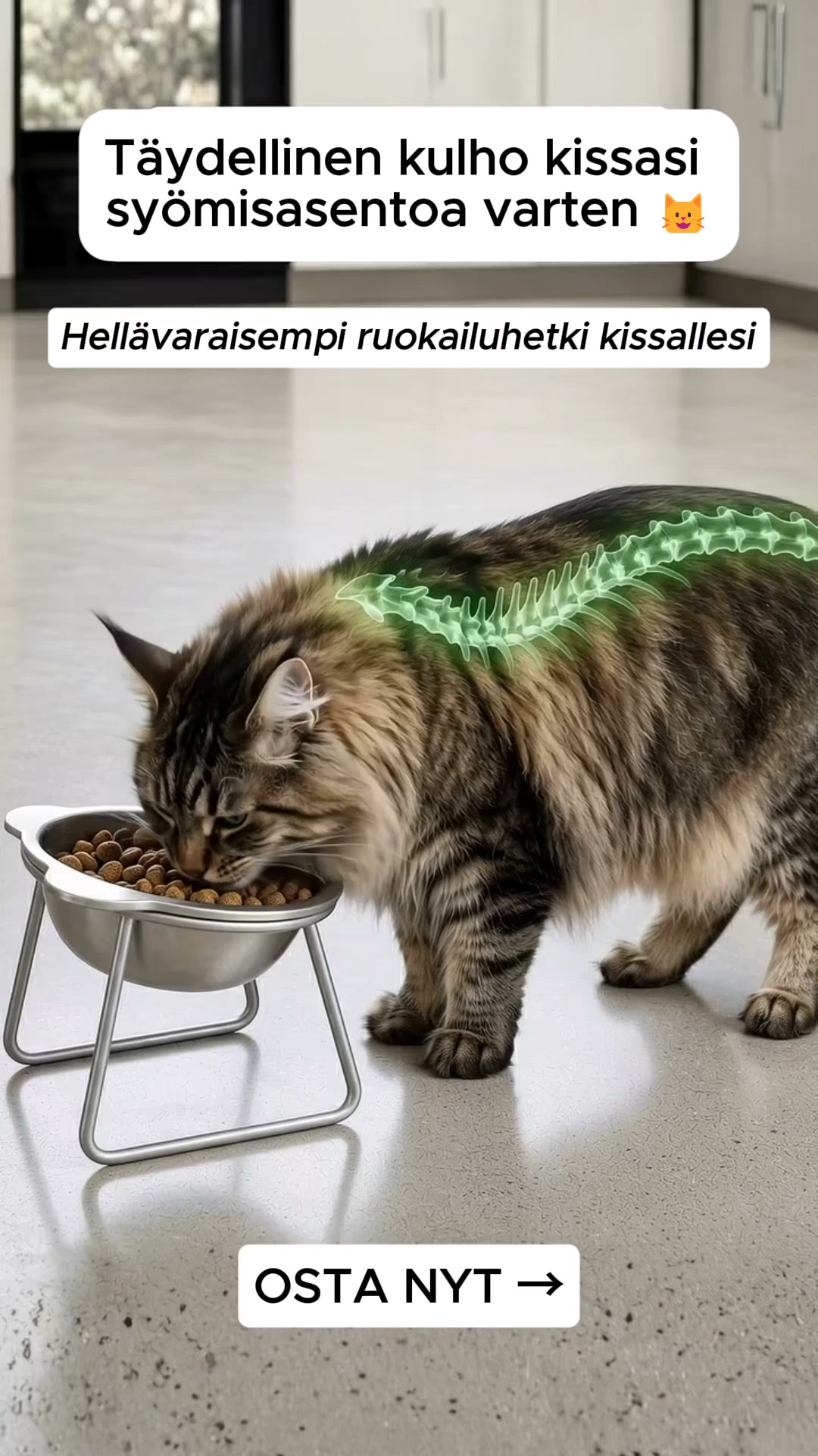Ergonominen 15° kulho kissoille