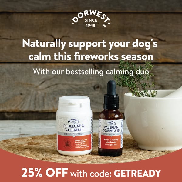 Best-selling Duo now 25% off