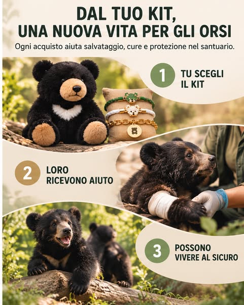 Salva oggi un orso