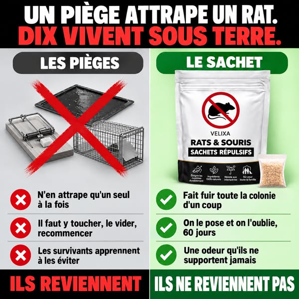 Plus de 16'000 clients satisfaits