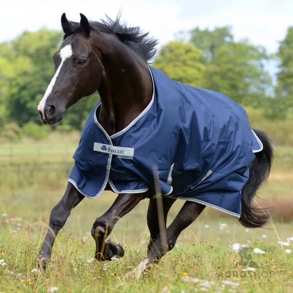 Hevosen ulkoloimi Freedom Turnout 0g 600D Bucas
