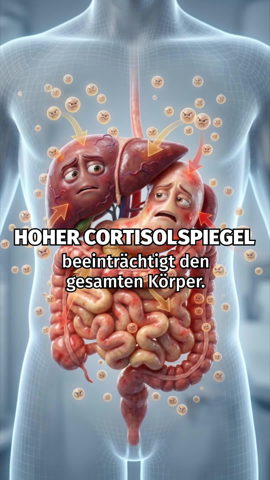 Wenn du 35+ bist und schnell Fett um den Bauch zunimmst… lies das