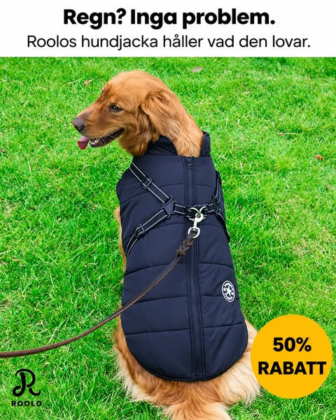 Se erbjudandet