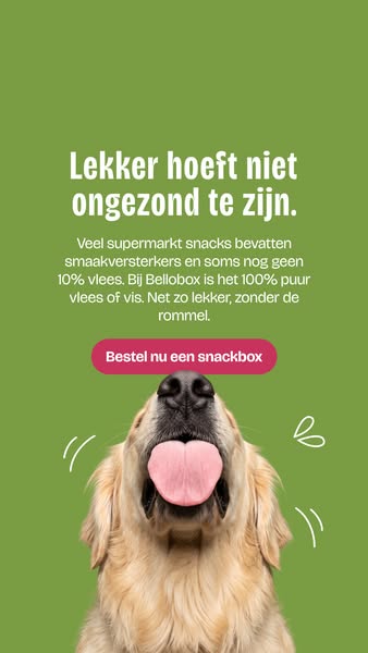 Ontdek de snackbox voor jouw hond