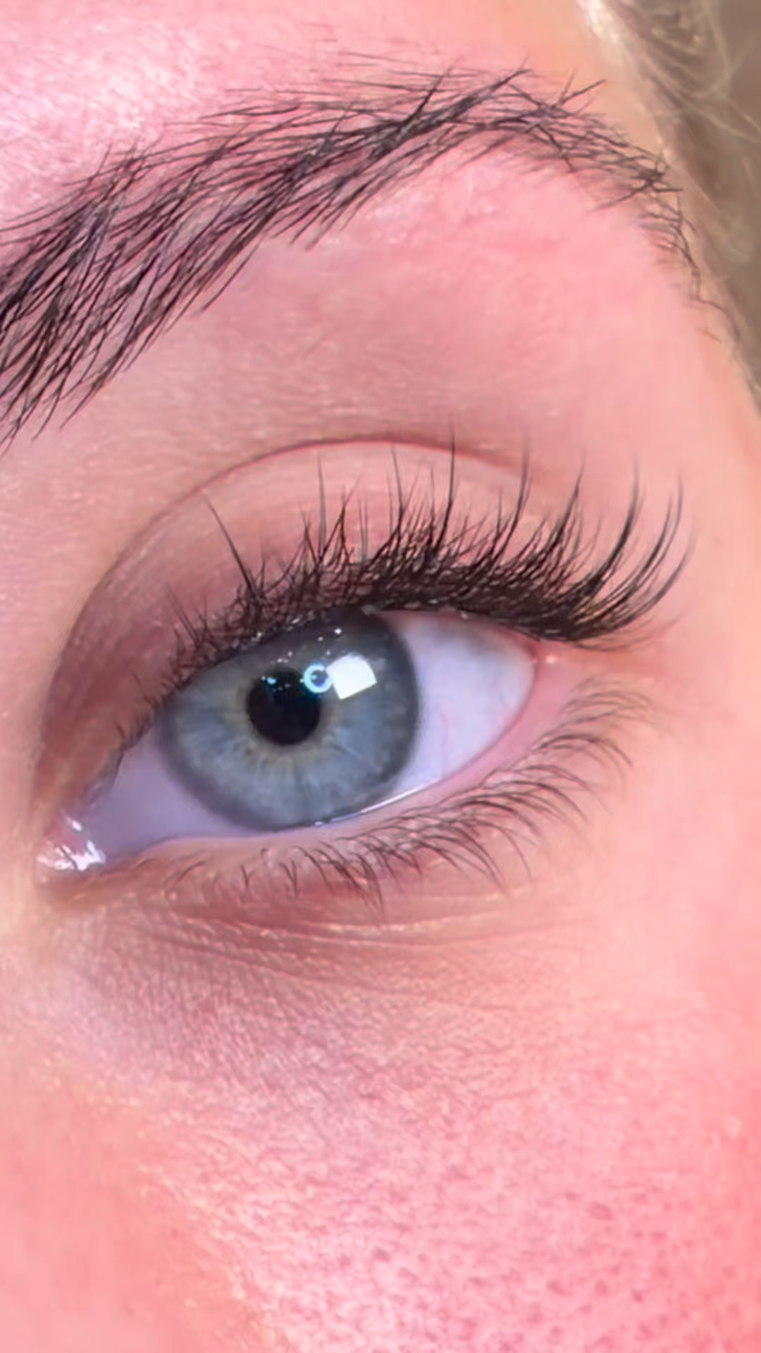 Bonded Lashes