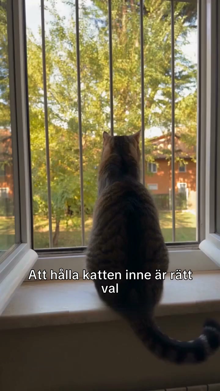 Nedsatt så länge lagret räcker