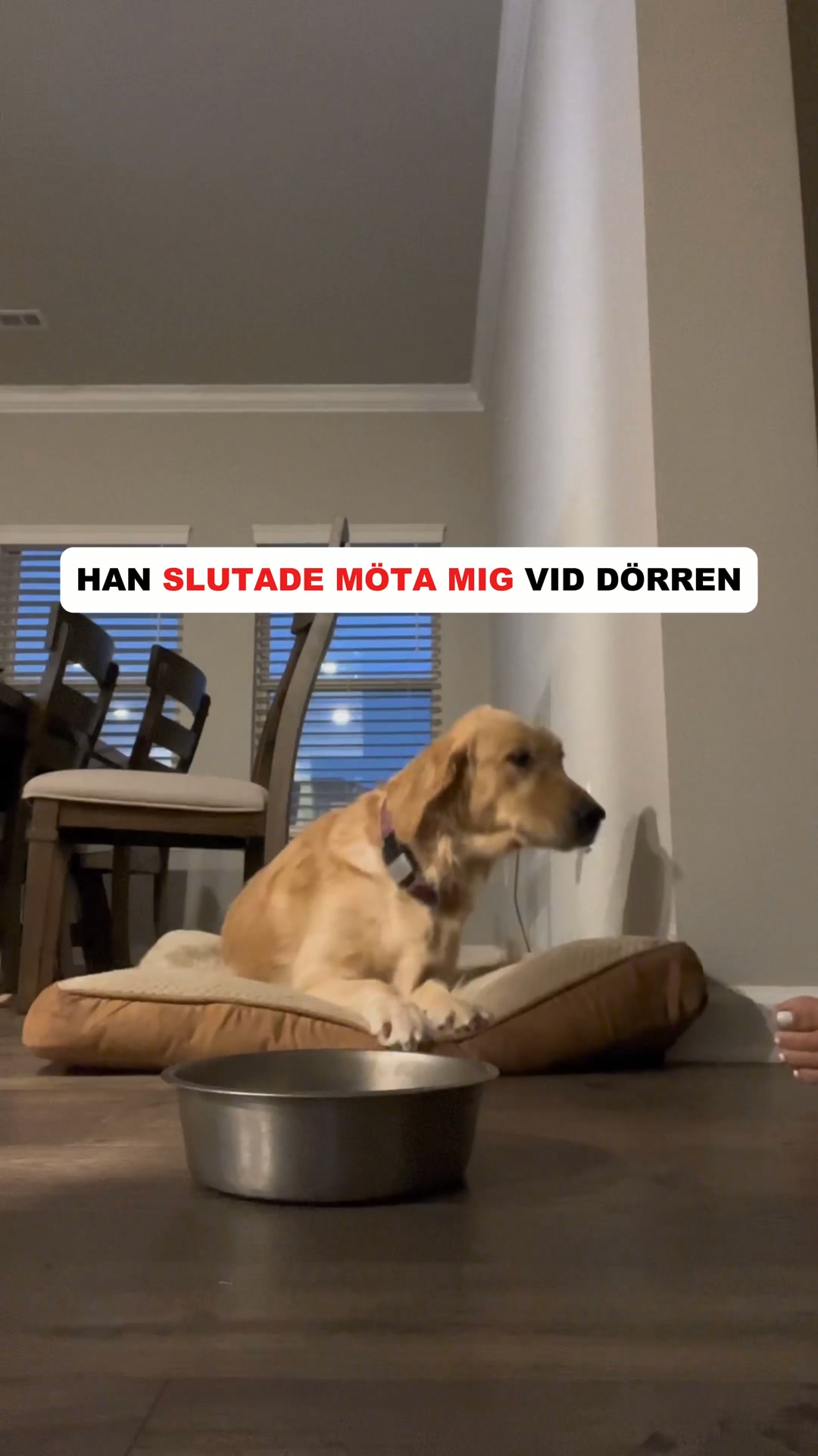Ledgodis som faktiskt funkar