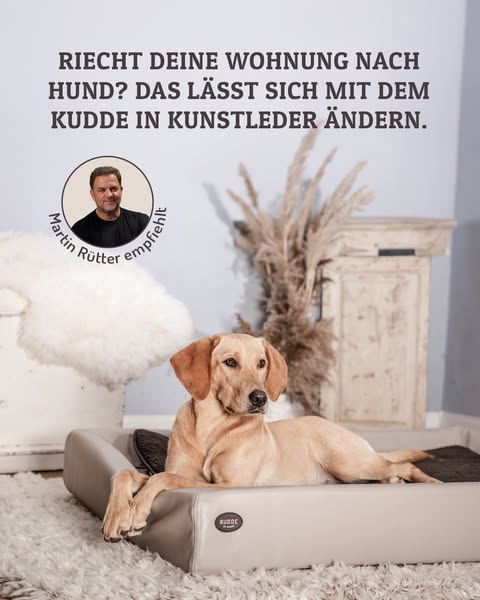 Jetzt sparen beim Kauf von zwei KUDDE