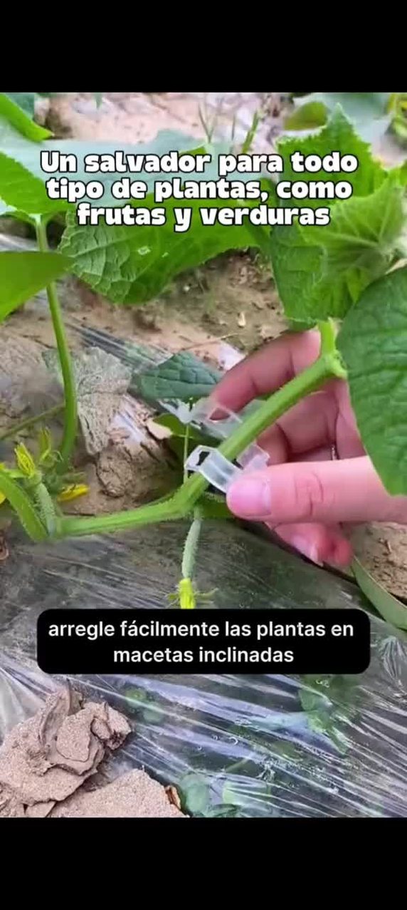 Plant Support Clips