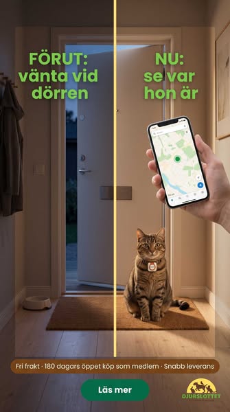 Så slipper du gissa var katten är