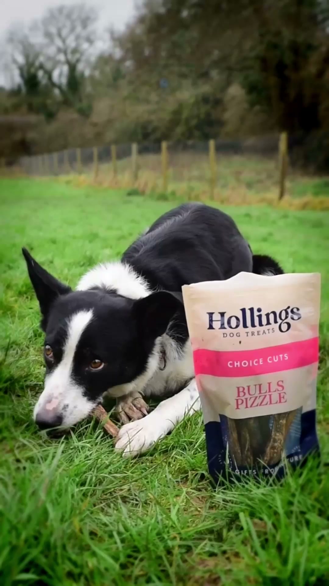 100% Natural Dog Treats