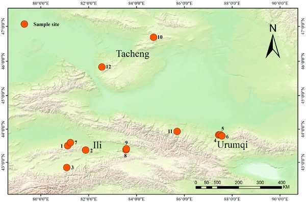 Clarifying the Taxonomic Relationships of Tulipa iliensis and T. thianschanica Based on Multiple Evidences of Phenotypic, Karyotype, Molecul