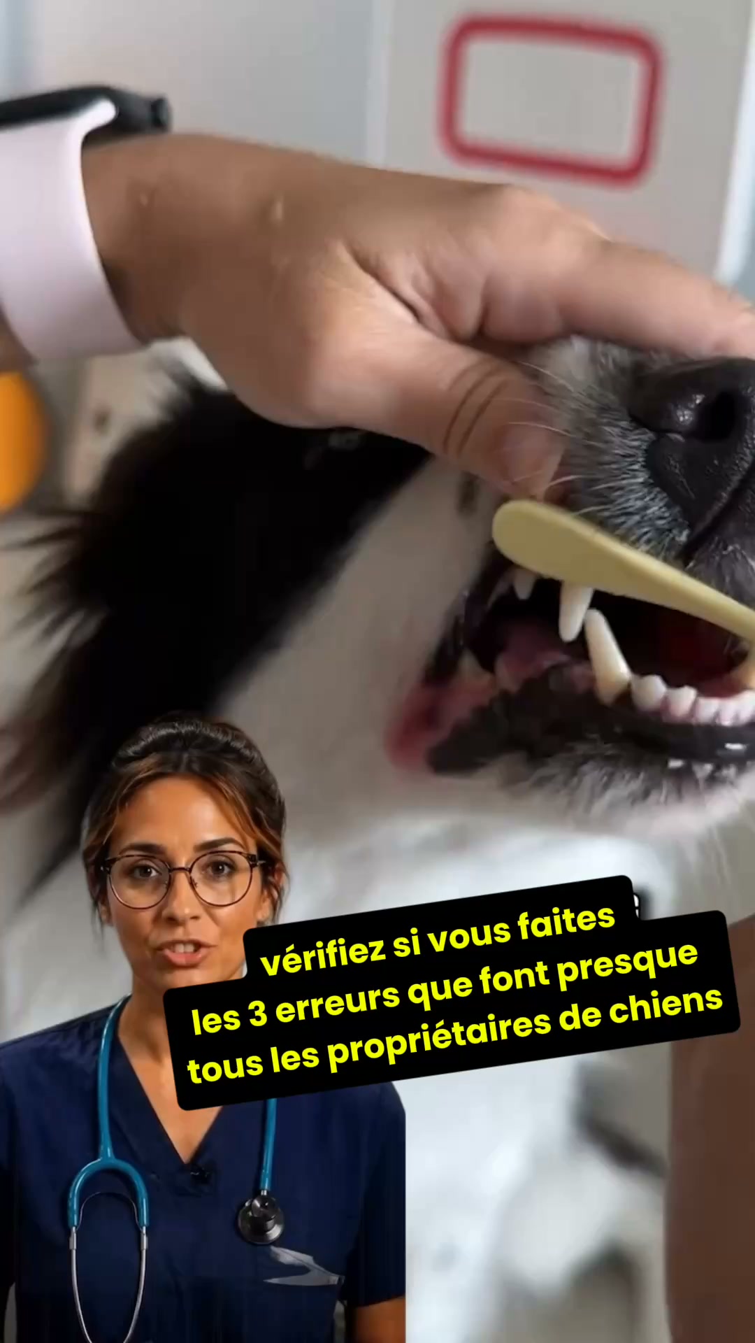 2 ACHETÉS = 1 OFFERT — Durée limitée