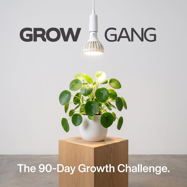 Introducing the 90-Day Growth Challenge.