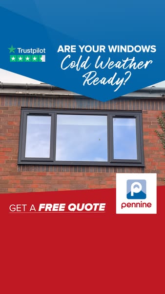 Trusted Window Experts