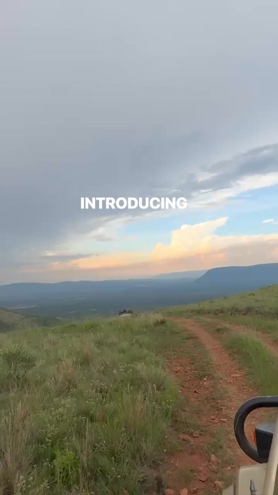Explore the Kruger Project Today!