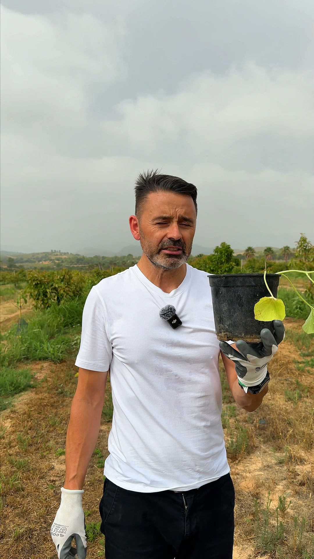Fertilizante Doméstico