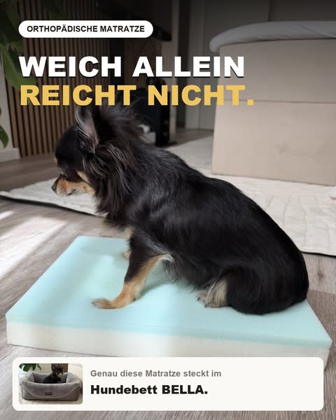 Komfort für kleine FellEngel