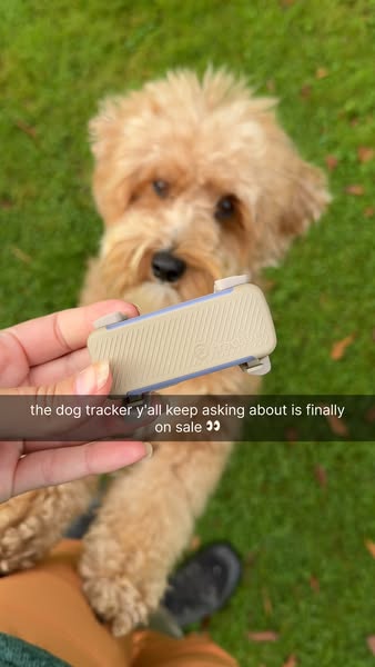 Finally! 40% off Smart Dog Trackers.