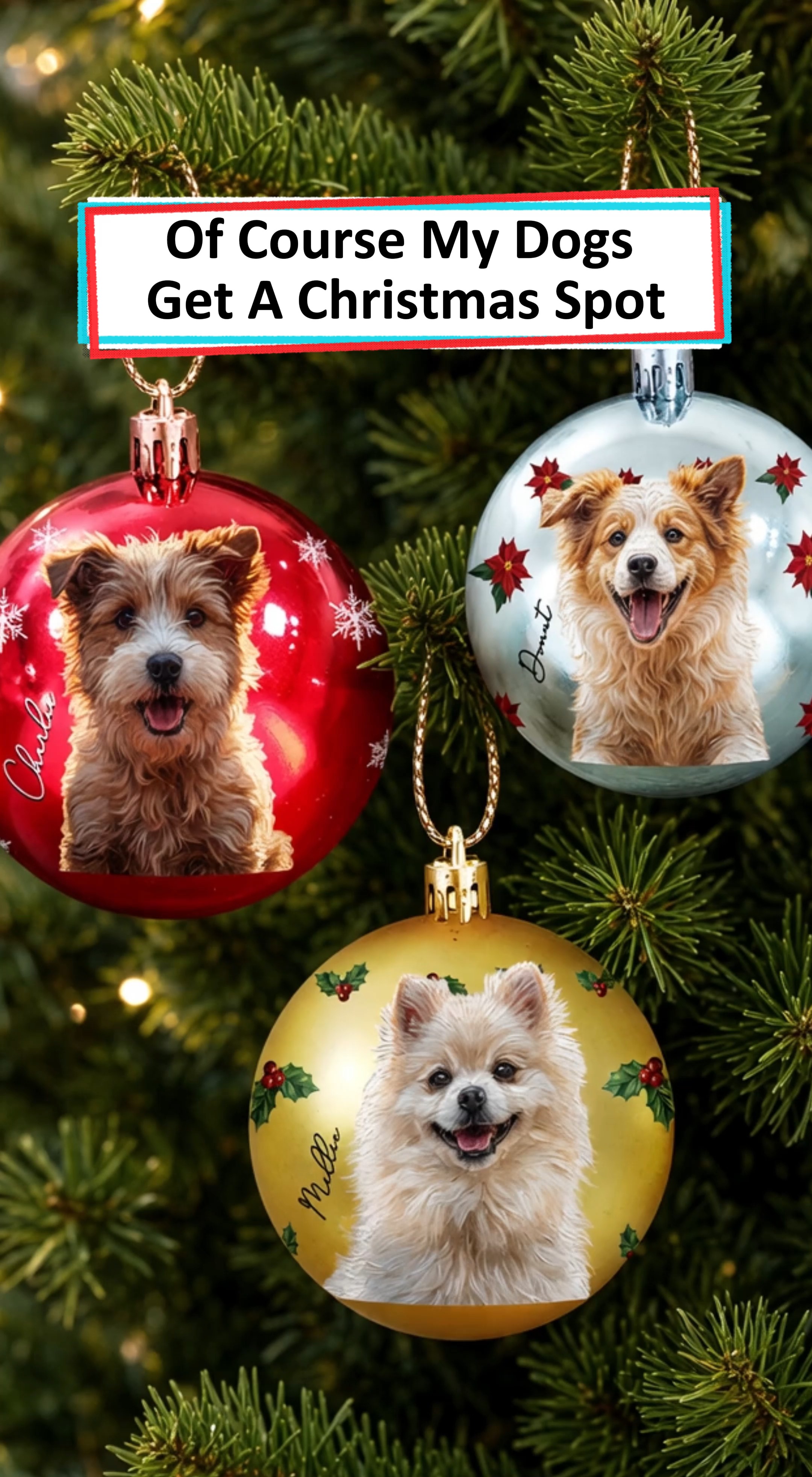 POV: You decorate the Christmas tree while your dog watches, then give your furry family member a special spot on the tree with a ball ornam