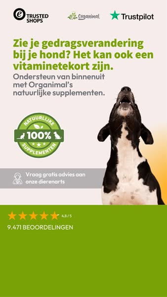 Gratis advies van onze dierenarts over de juiste natuurlijke supplementen.