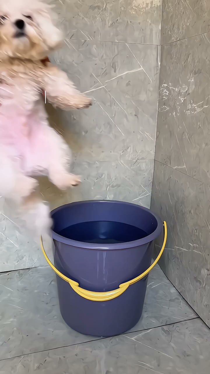 Wassen, borstelen & masseren in één simpele beweging!