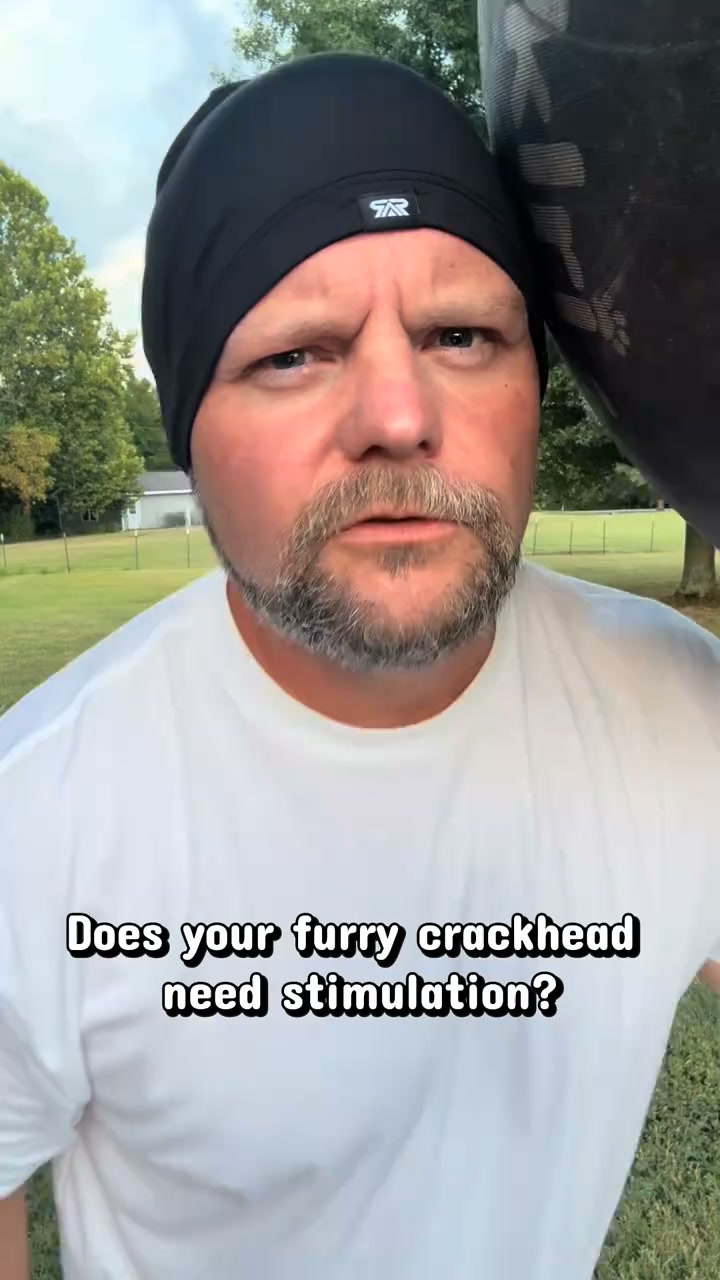 The One Thing Your Dog Actually Needs