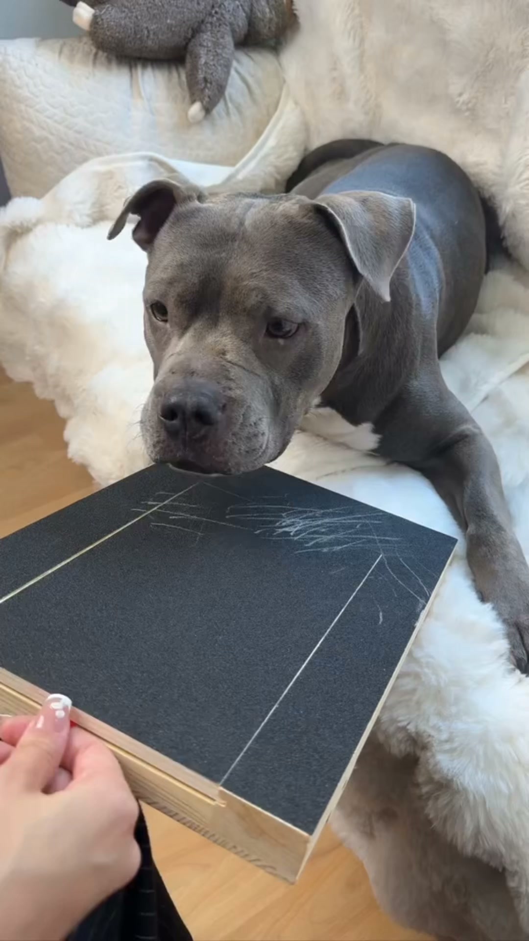 PawSerene Calm Nail Board