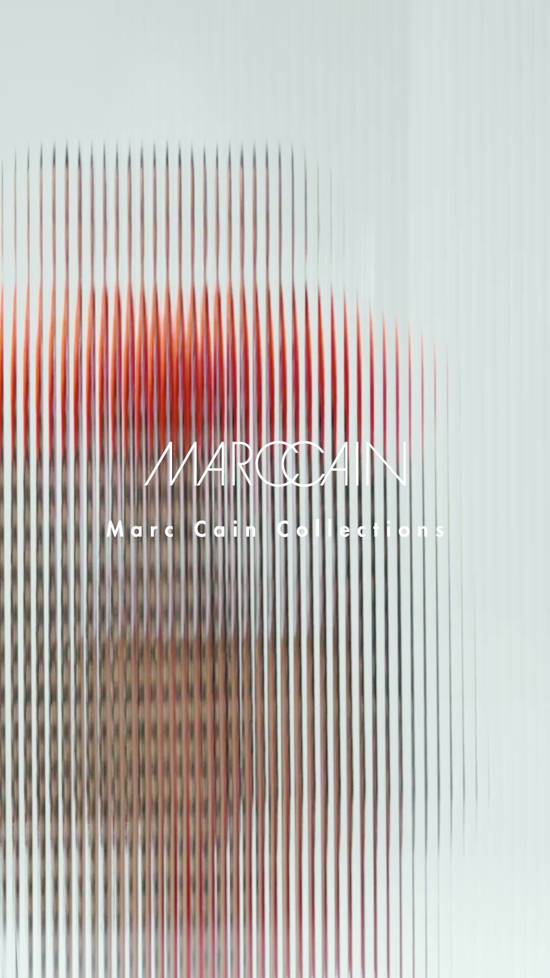 Discover the New Collection