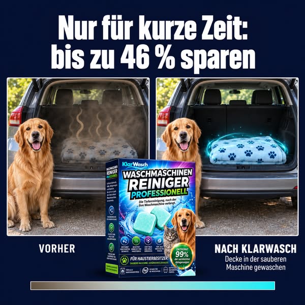 Hundegeruch raus aus der Waschmaschine