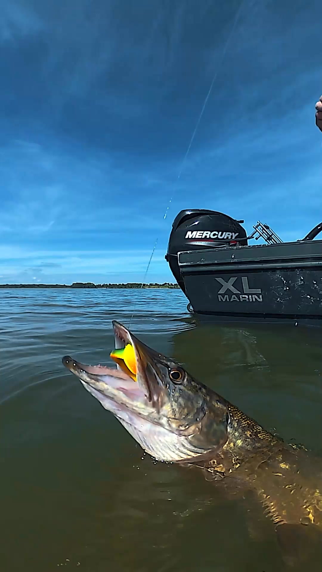 Lake X Pike