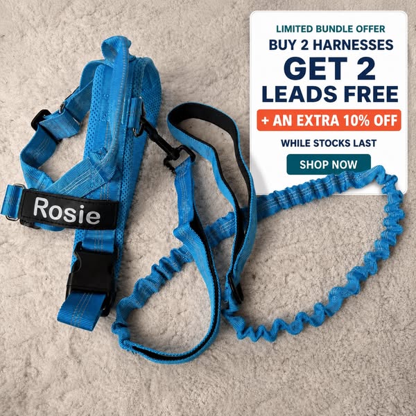 Buy 2 Harnesses, Get 2 Leads FREE