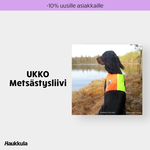 Ajankohtaiset tarjoukset Haukkulassa
