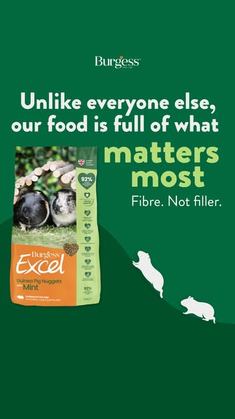 Healthy Piggies = Happy Popcorning!