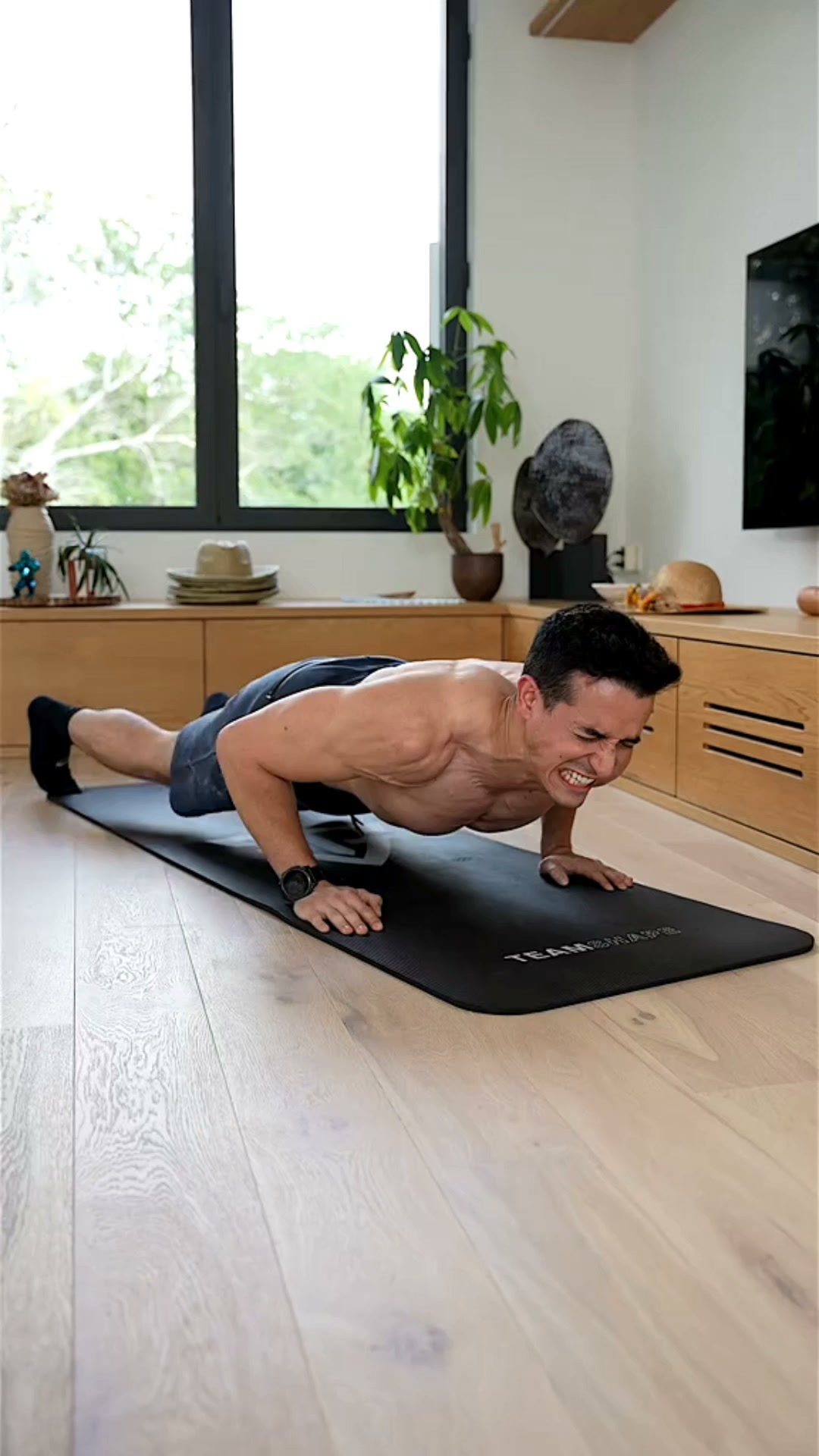StayFit™ Push-Up Training Board