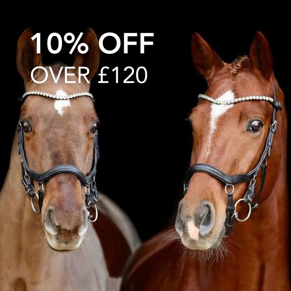 10% OFF Orders Over £120!