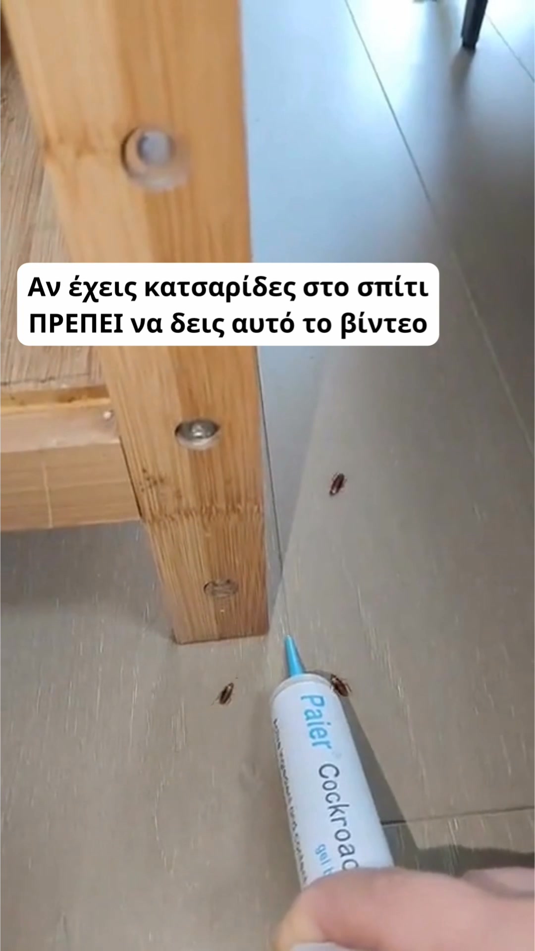 ΤΕΛΟΣ στις Κατσαρίδες