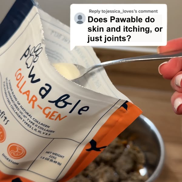 For Itchy Dogs? Think Collagen