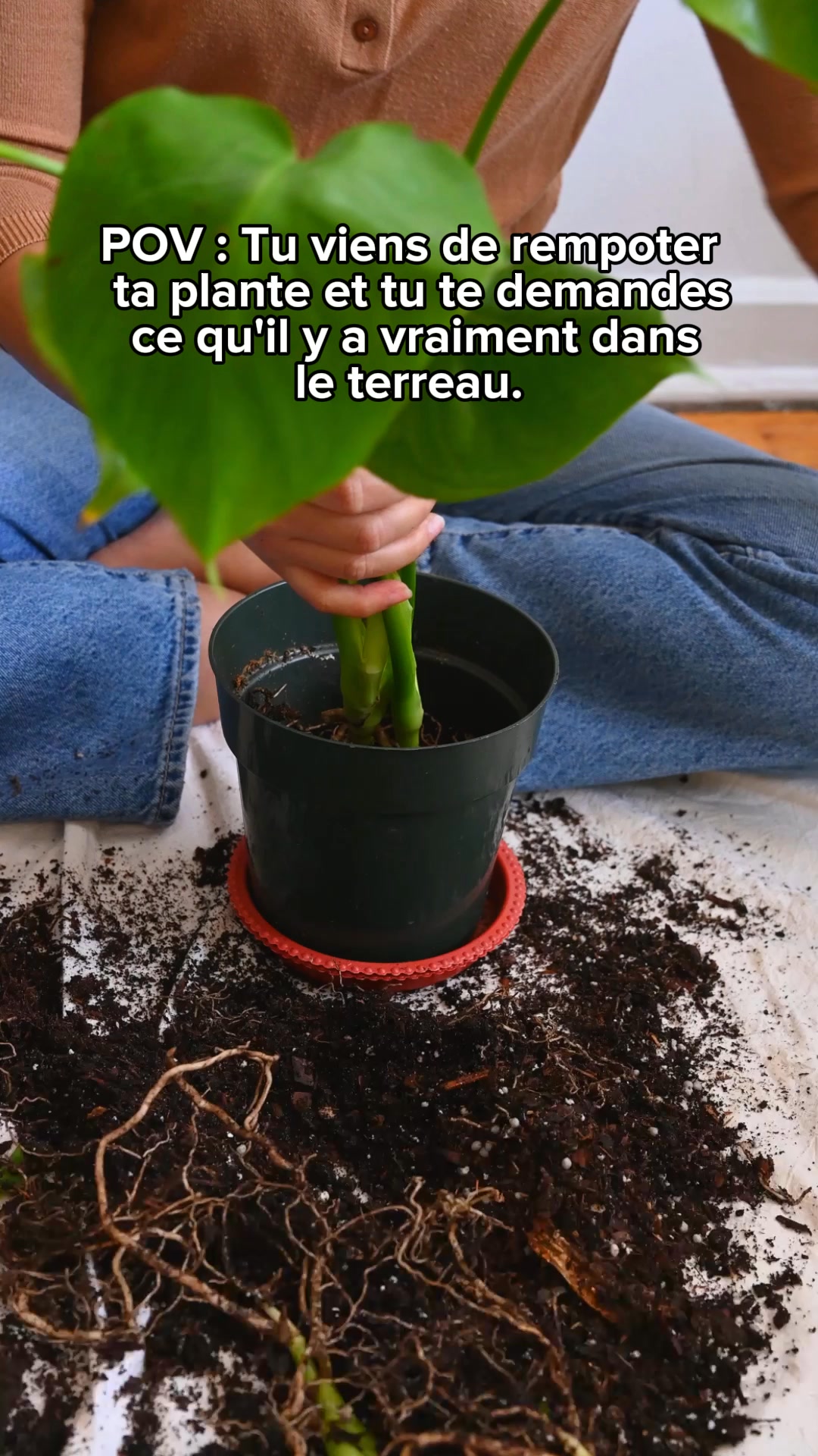 Noté 4,8/5 sur trustpilot ( 4000+)