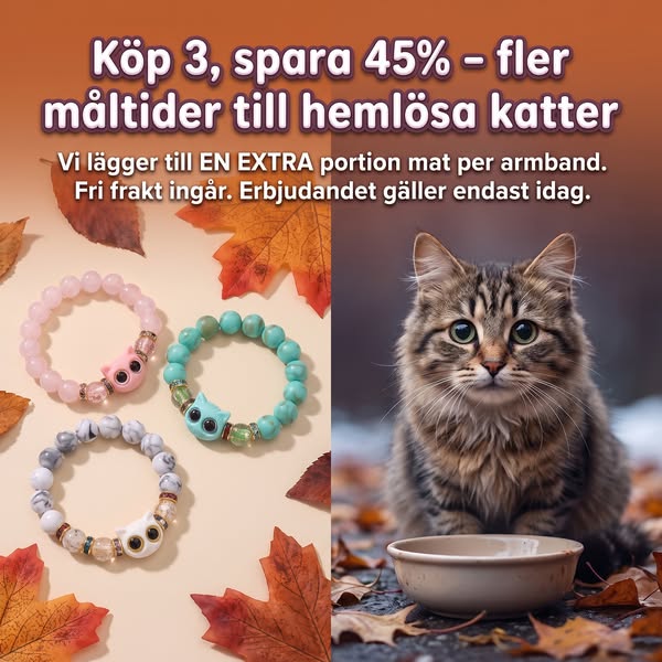 Endast 199 kronor. Verklig hjälp.
