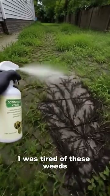 Anúncio de Clay Farmer