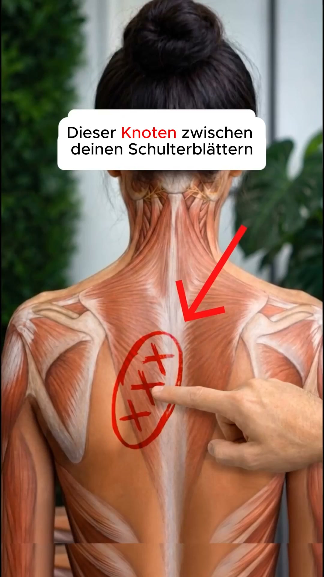 Schluss mit dem Verspannungs-Kreislauf