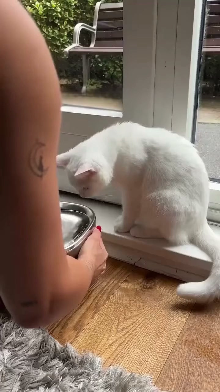 40%ALENNUS