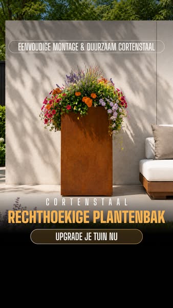Groei met stijl