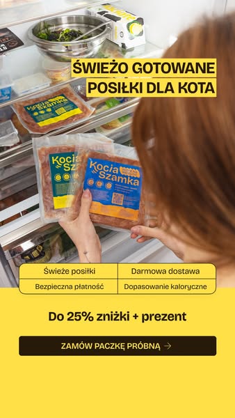 Do 25% zniżki + prezent