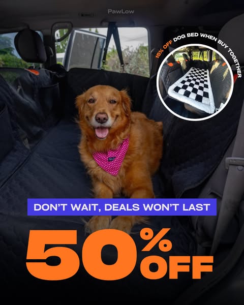 Pawlow Hard Bottom Seat Cover